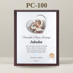 PC-100