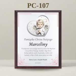 PC-107
