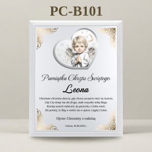 PC-B101