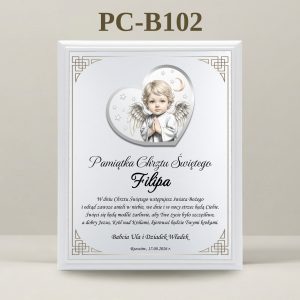 PC-B102