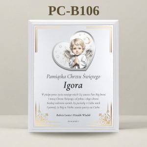 PC-B106