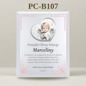 PC-B107