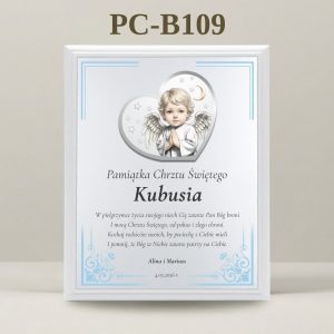 PC-B109