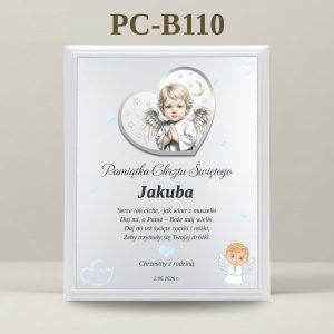PC-B110