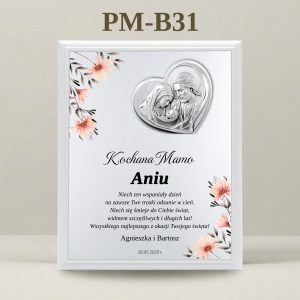 PM-B31