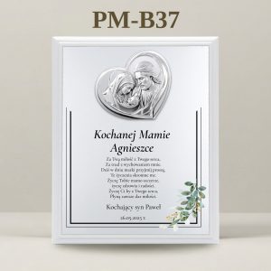 PM-B37